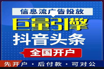 百度竞价与搜索引擎优化（SEO）的协同效应案例